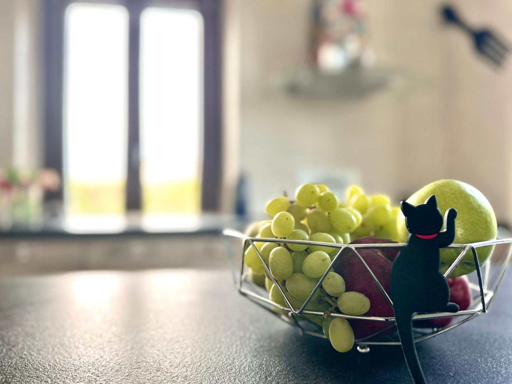 Appartamento In Villa Con Piscina Privata E Jacuzzi Ad Uso Esclusivo Rivarolo Canavese Zewnętrze zdjęcie